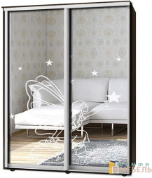 Шкаф-купе 2х дв Стандарт Пескоструй № 20