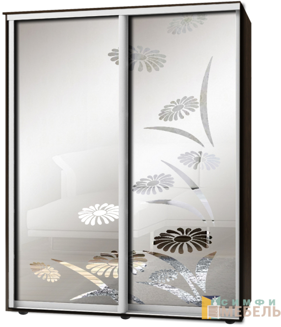 Шкаф-купе 2х дв Стандарт Пескоструй фон матовый № 55