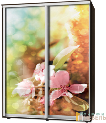 Шкаф-купе 2х дв Стандарт Фотопечать № 146