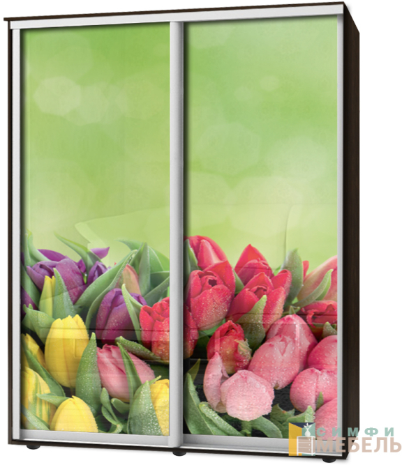 Шкаф-купе 2х дв Стандарт Фотопечать № 147