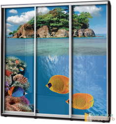 Шкаф купе 3х дв Фотопечать № 18