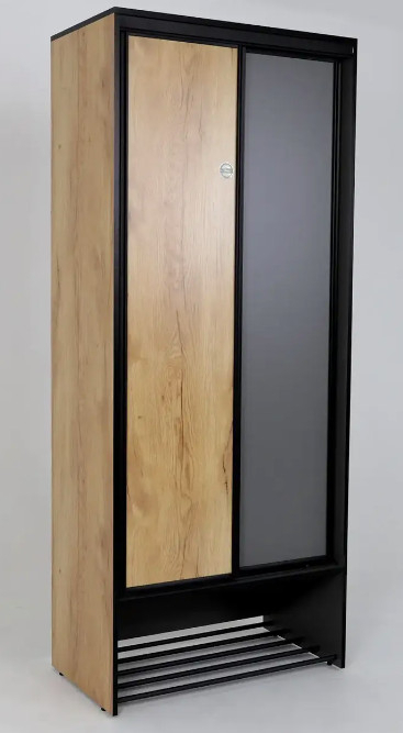 Шкаф купе Ольга-Лофт 10.1