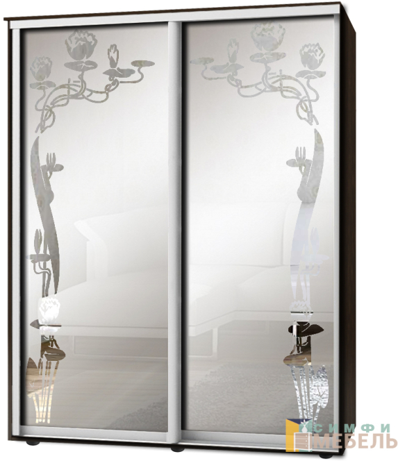 Шкаф-купе 2х дв Стандарт Пескоструй фон матовый № 57