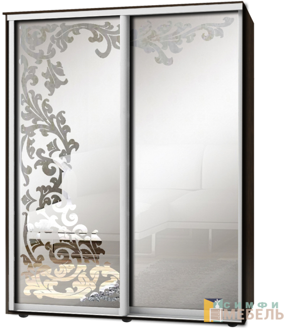 Шкаф-купе 2х дв Стандарт Пескоструй фон матовый № 58