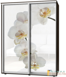 Шкаф-купе 2х дв Стандарт Фотопечать № 149