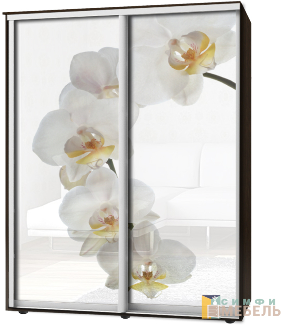 Шкаф-купе 2х дв Стандарт Фотопечать № 149