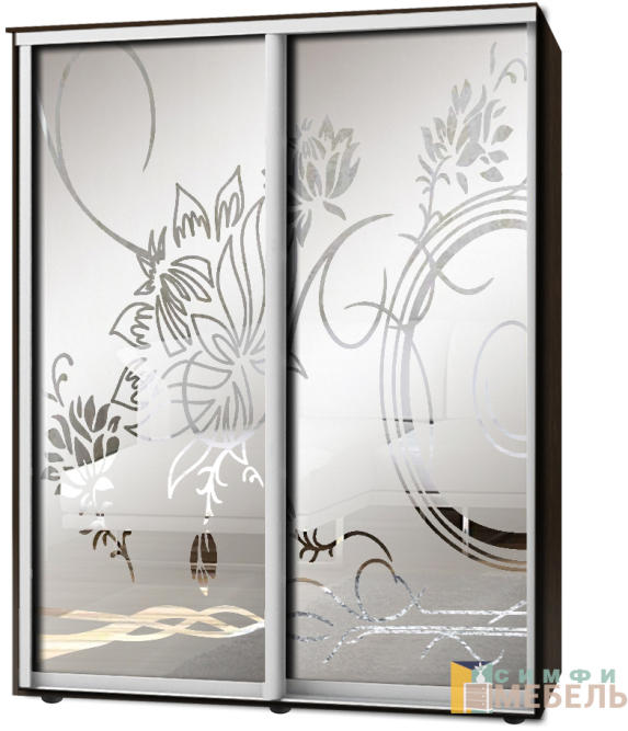 Шкаф-купе 2х дв Стандарт Пескоструй фон матовый № 59