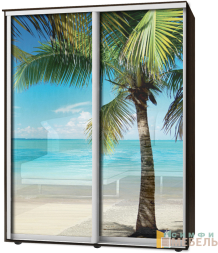 Шкаф-купе 2х дв Стандарт Фотопечать № 150