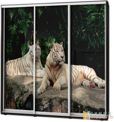 Шкаф купе 3х дв Фотопечать № 21