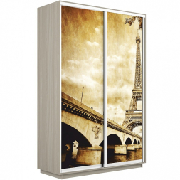Шкаф-купе Экспресс 2-х дверный (Фото №1024 Париж)