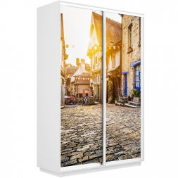 Шкаф-купе Экспресс 2-х дверный (Фото №1024 Париж)