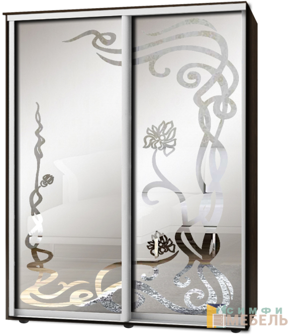 Шкаф-купе 2х дв Стандарт Пескоструй фон матовый № 60