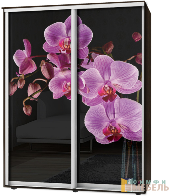 Шкаф-купе 2х дв Стандарт Фотопечать № 151