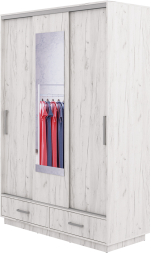 Шкаф-купе ШОН-5