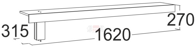 Полка Ольга 19 №1