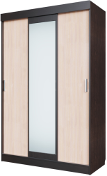 Шкаф-купе Эдем-5