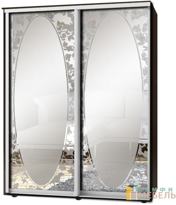 Шкаф-купе 2х дв Стандарт Пескоструй фон матовый № 61