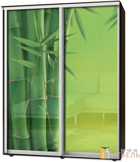 Шкаф-купе 2х дв Стандарт Фотопечать № 152