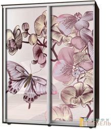 Шкаф-купе 2х дв Стандарт Фотопечать № 153