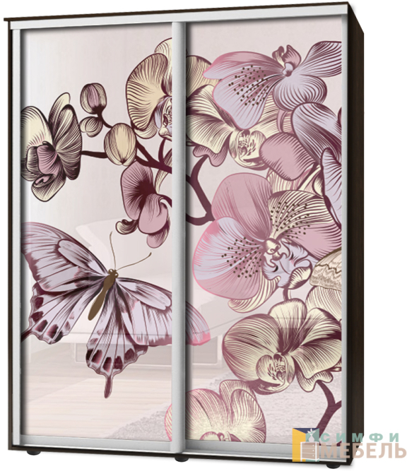 Шкаф-купе 2х дв Стандарт Фотопечать № 153