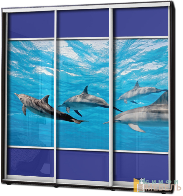 Шкаф купе 3х дв Фотопечать № 24