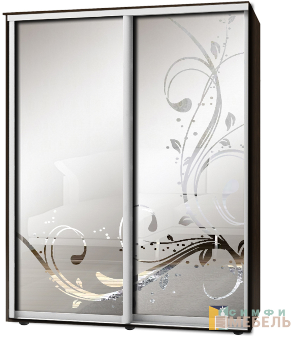 Шкаф-купе 2х дв Стандарт Пескоструй фон матовый № 63