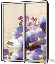 Шкаф-купе 2х дв Стандарт Фотопечать № 154