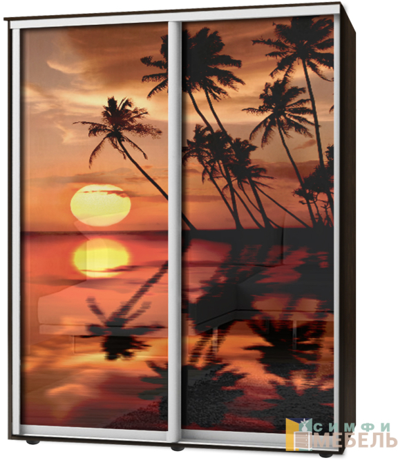 Шкаф-купе 2х дв Стандарт Фотопечать № 55