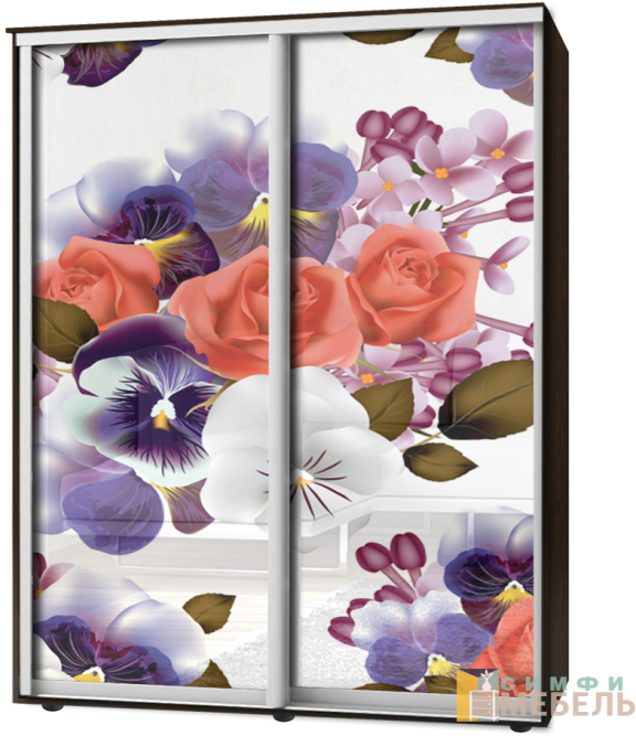 Шкаф-купе 2х дв Стандарт Фотопечать № 155