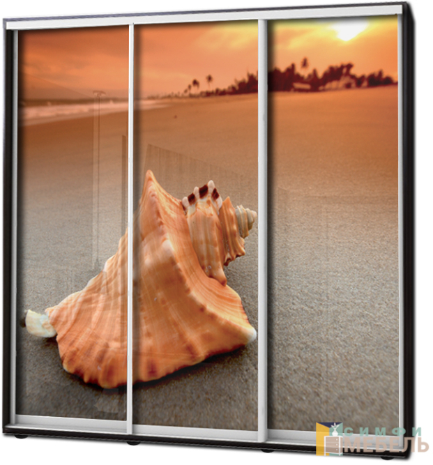 Шкаф купе 3х дв Фотопечать № 26