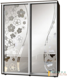 Шкаф-купе 2х дв Стандарт Пескоструй фон матовый № 65