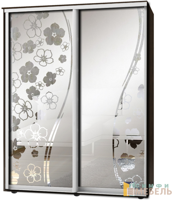 Шкаф-купе 2х дв Стандарт Пескоструй фон матовый № 65