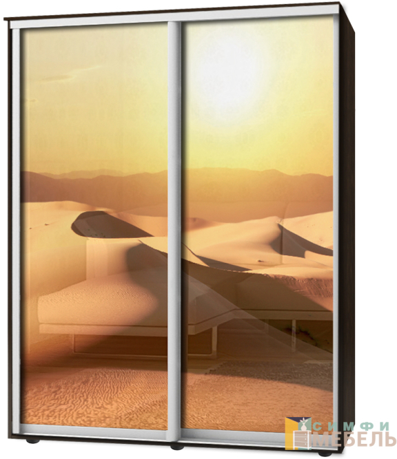 Шкаф-купе 2х дв Стандарт Фотопечать № 56