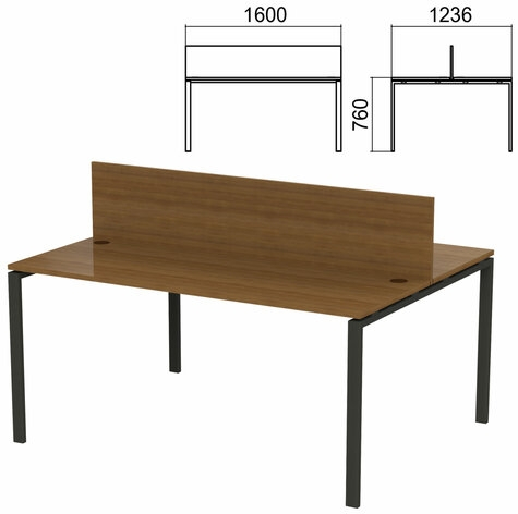 Стол письменный 2-х МЕСТНЫЙ на металлокаркасе Арго