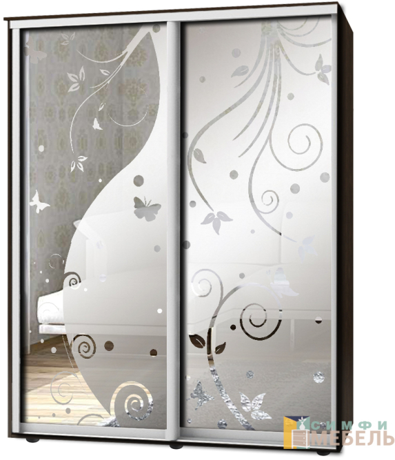 Шкаф-купе 2х дв Стандарт Пескоструй фон матовый № 66