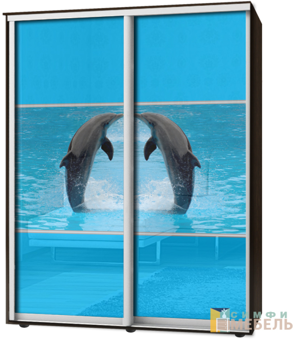 Шкаф-купе 2х дв Стандарт Фотопечать № 157