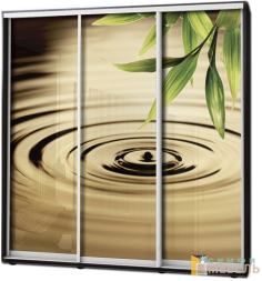 Шкаф купе 3х дв Фотопечать № 28