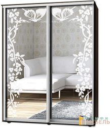 Шкаф-купе 2х дв Стандарт Пескоструй № 31