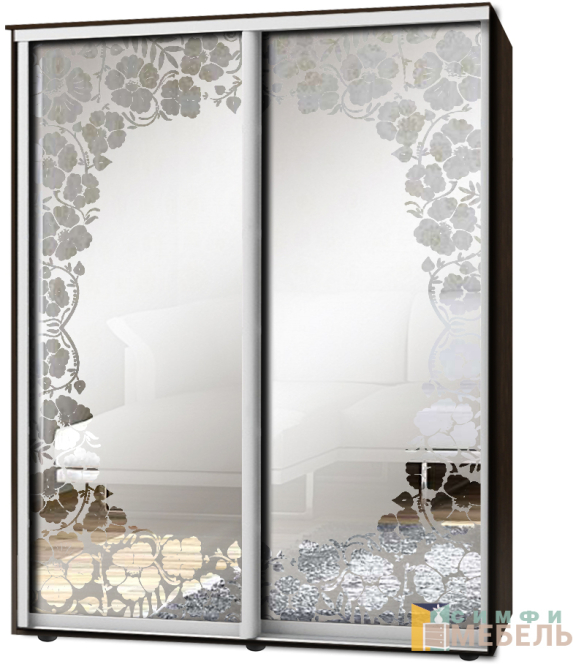 Шкаф-купе 2х дв Стандарт Пескоструй фон матовый № 67