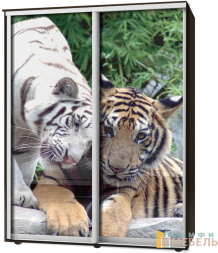 Шкаф-купе 2х дв Стандарт Фотопечать № 158