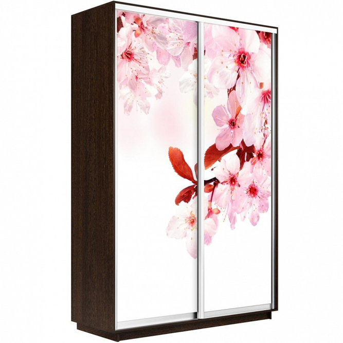 Шкаф-купе Экспресс 2-х дверный (Фото №1023 Сакура)