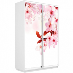 Шкаф-купе Экспресс 2-х дверный (Фото №1023 Сакура)