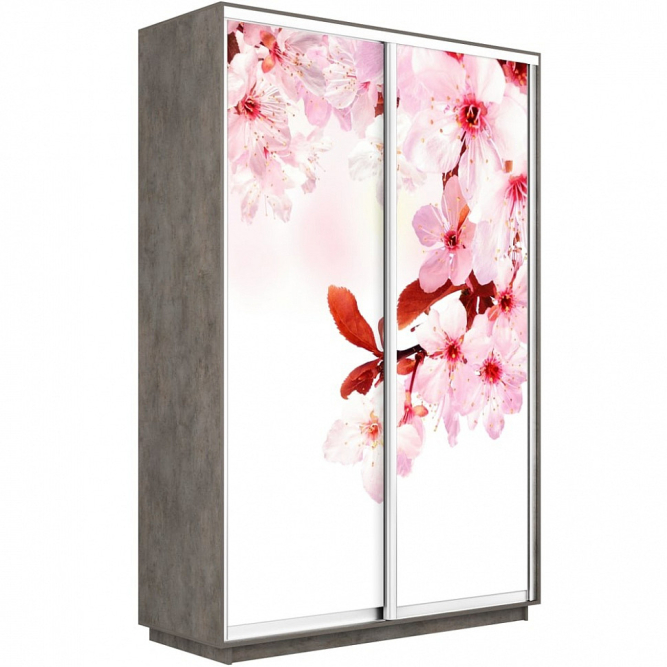 Шкаф-купе Экспресс 2-х дверный (Фото №1023 Сакура)
