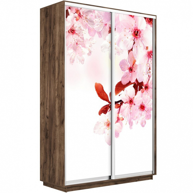 Шкаф-купе Экспресс 2-х дверный (Фото №1023 Сакура)