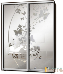 Шкаф-купе 2х дв Стандарт Пескоструй фон матовый № 68