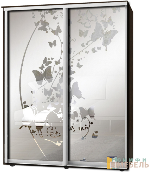 Шкаф-купе 2х дв Стандарт Пескоструй фон матовый № 68