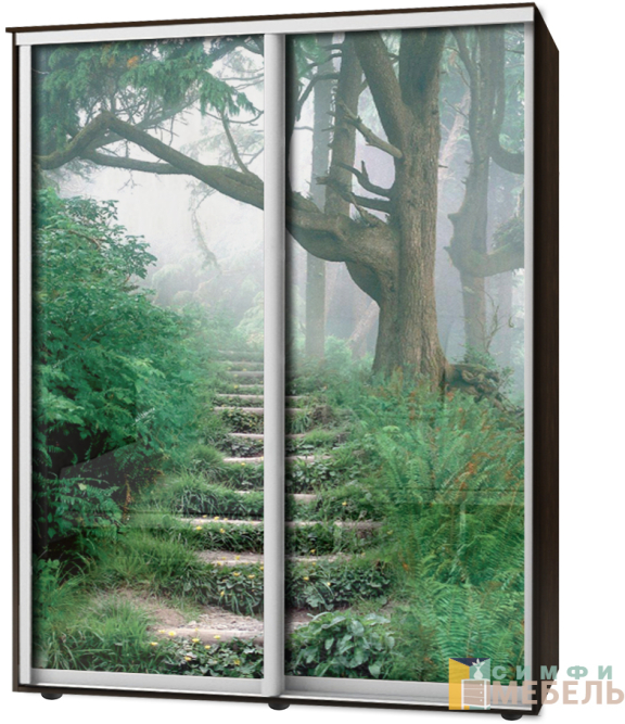 Шкаф-купе 2х дв Стандарт Фотопечать № 59