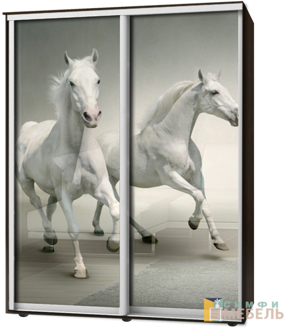 Шкаф-купе 2х дв Стандарт Фотопечать № 159