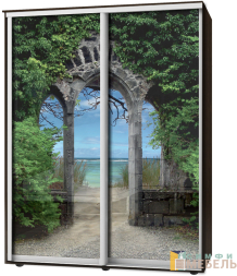 Шкаф-купе 2х дв Стандарт Фотопечать № 60