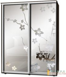 Шкаф-купе 2х дв Стандарт Пескоструй фон матовый № 70